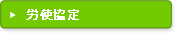�J�g����